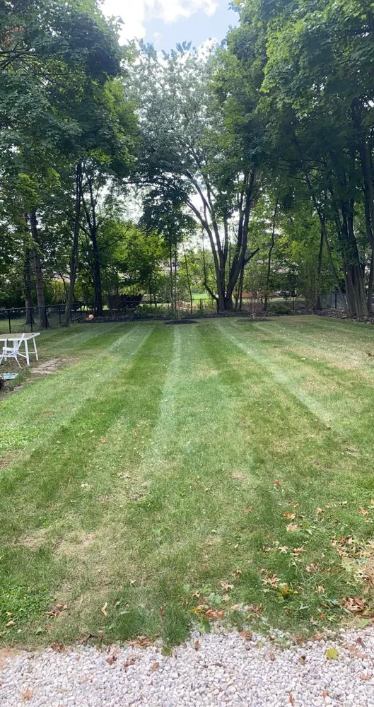Expert yard cleanup service for year-round maintenance across Fairview Park, OH - JMaxx Property Management