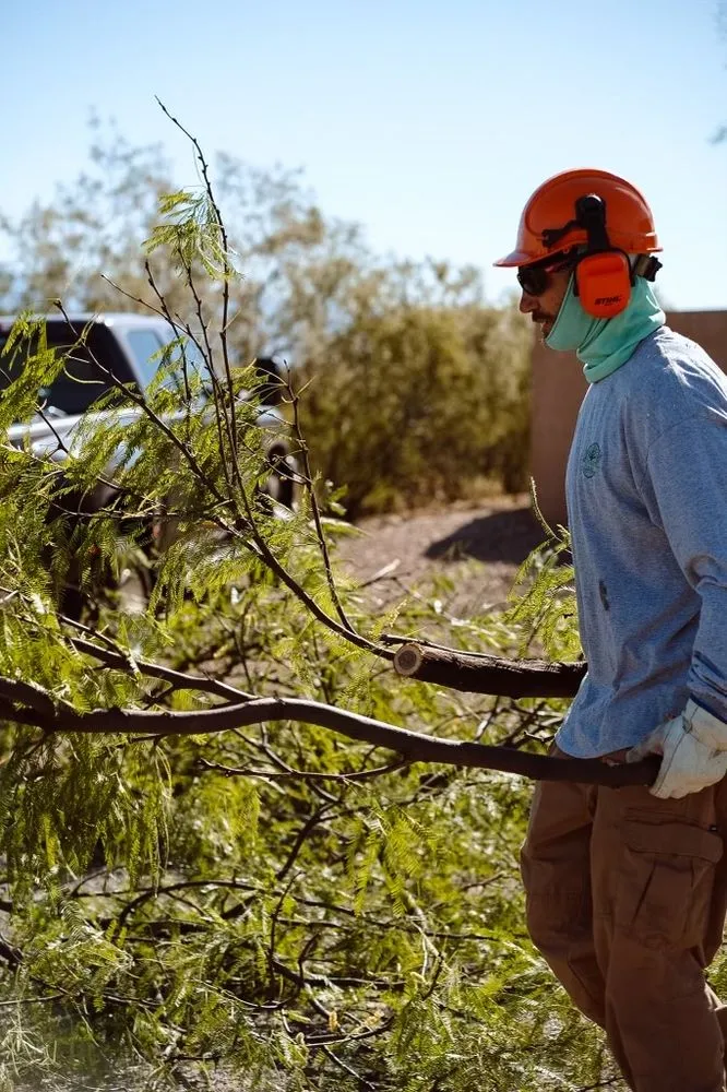 Top-rated landscape design experts serving Vail, AZ - JMB Contracting Tucson