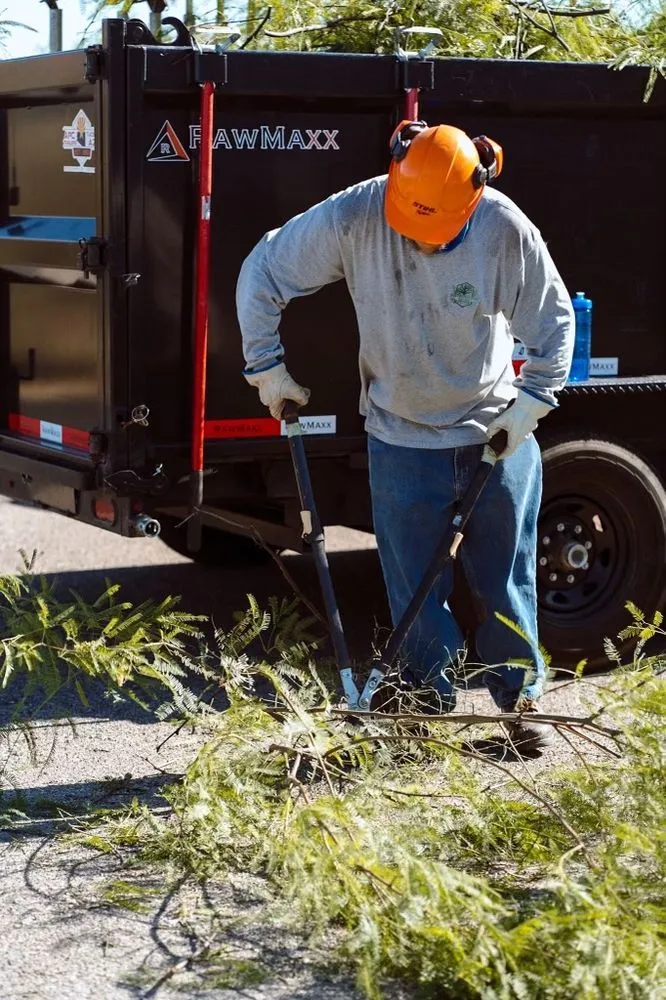 Affordable yard maintenance experts serving Vail, AZ - JMB Contracting Tucson