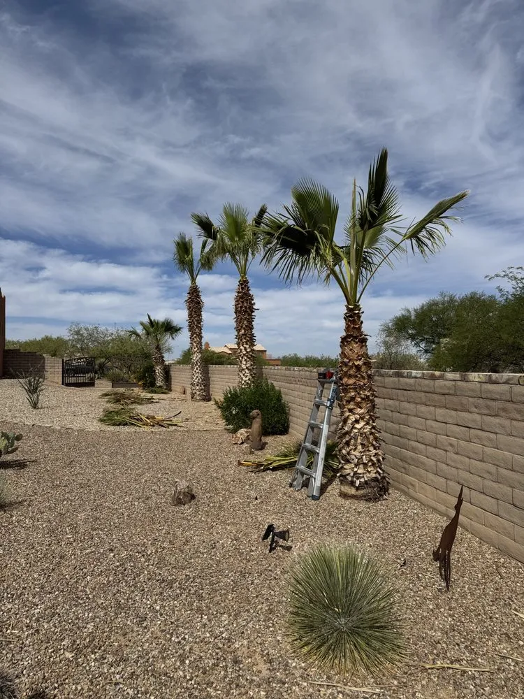 Trusted lawn mowing service in Vail, AZ - JMB Contracting Tucson