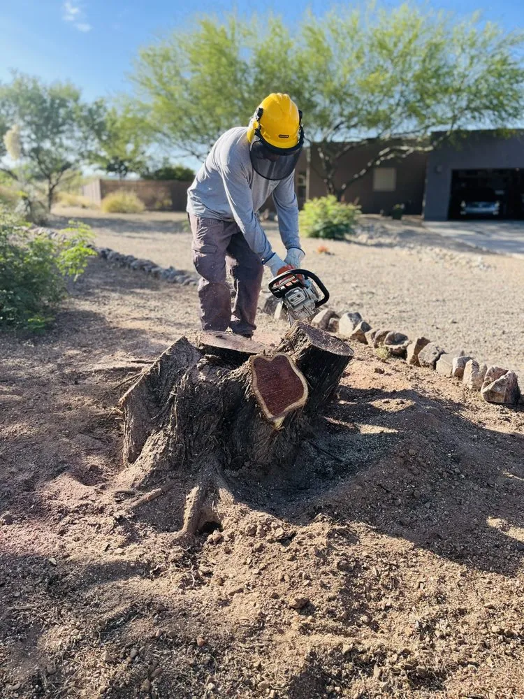 Top-rated lawn care service for homes in Vail, AZ by JMB Contracting Tucson