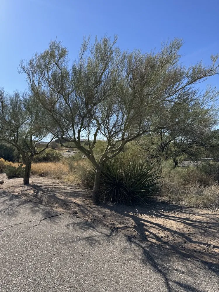 Local lawn mowing service in Vail, AZ by JMB Contracting Tucson