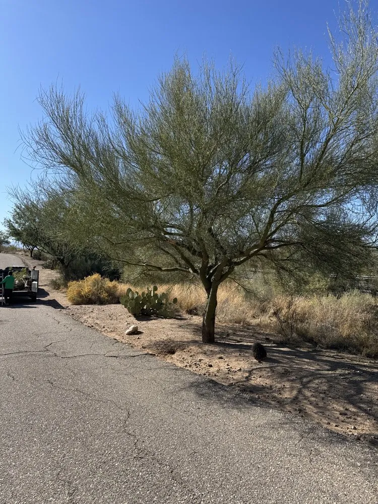 Expert landscape installation for outdoor upgrades across Vail, AZ - JMB Contracting Tucson