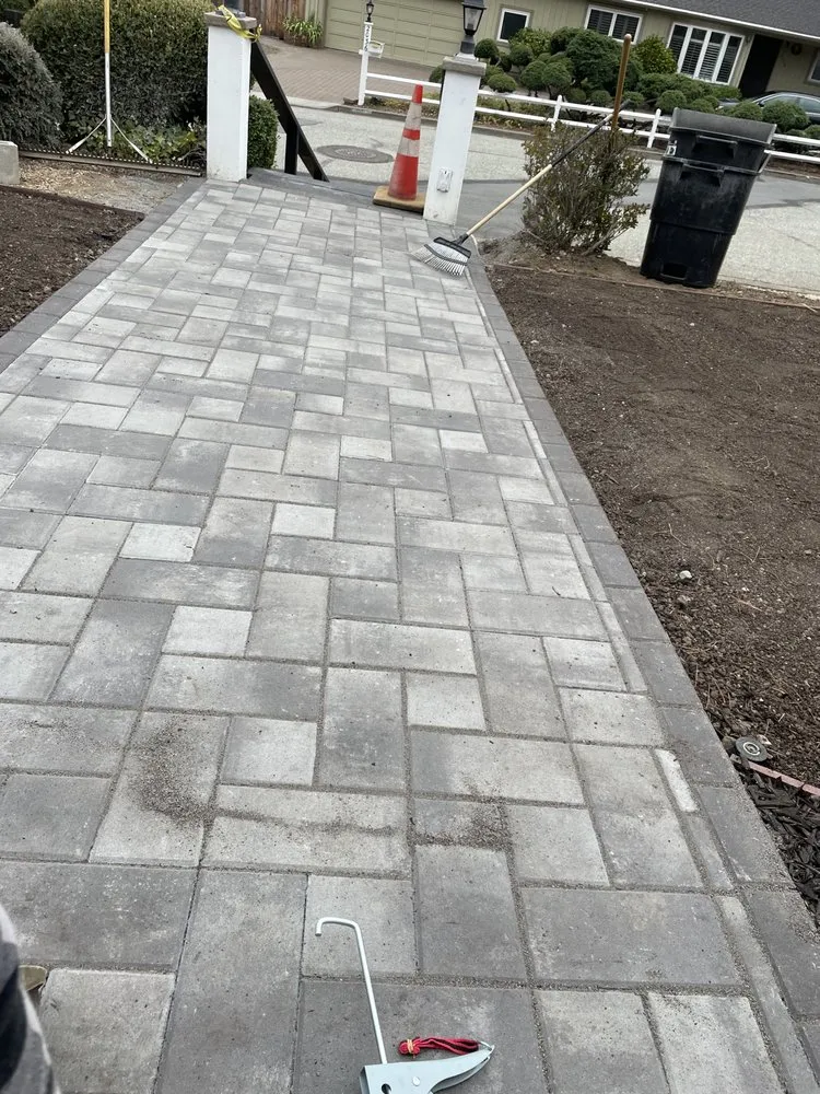 Reliable yard cleanup service experts serving Foster City, CA - JMC Gardening Landsreenew