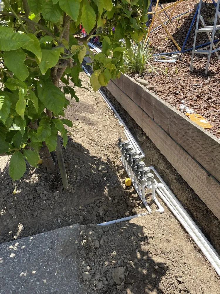 Top-rated landscape design experts serving Foster City, CA - JMC Gardening Landsreenew