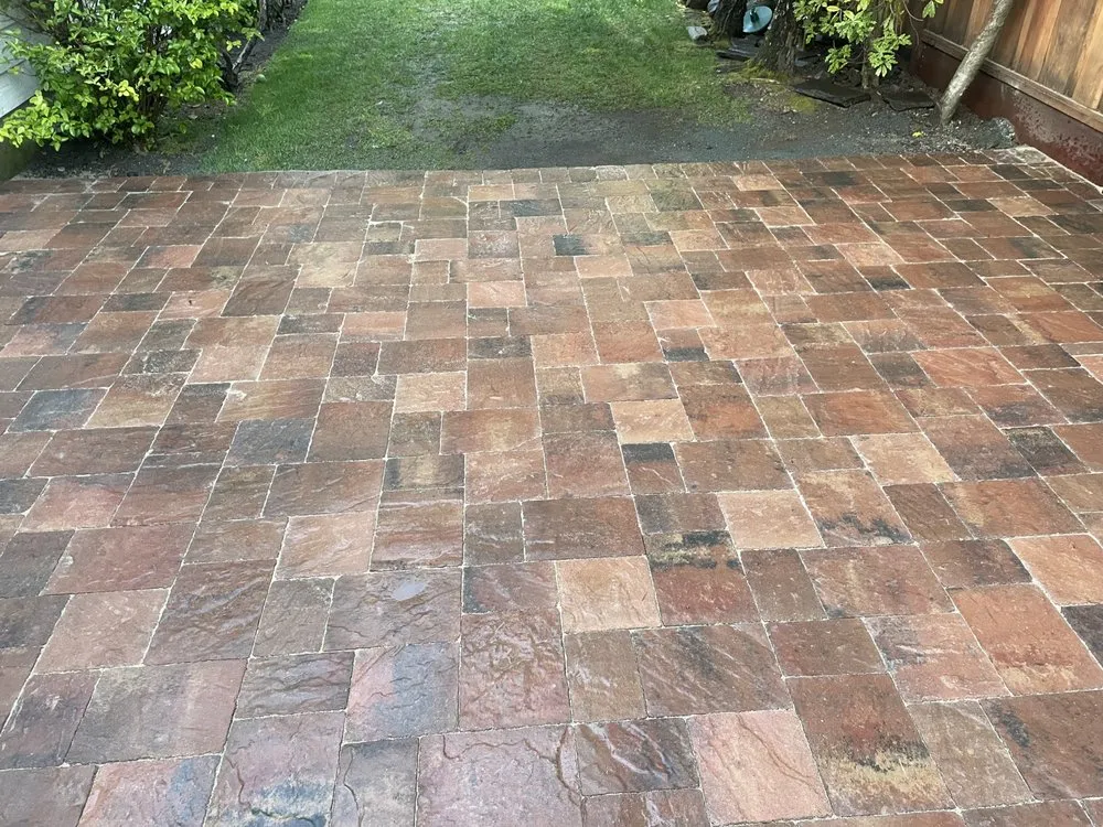 Trusted garden landscaping experts serving Foster City, CA - JMC Gardening Landsreenew