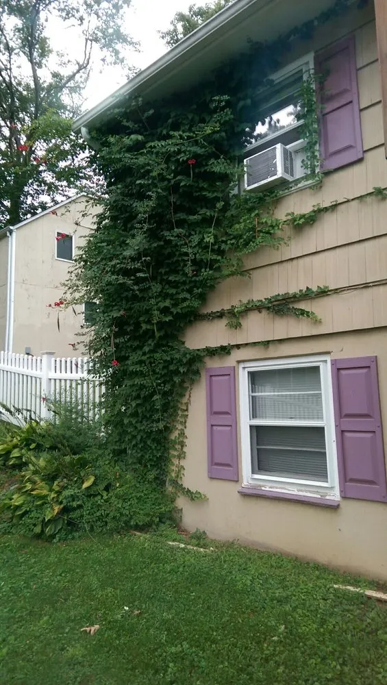 Trusted landscape installation in Whippany, NJ by JMC Landscape Contracting