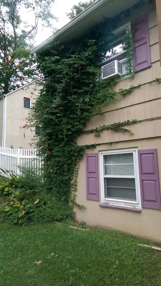 Professional yard maintenance near you across Whippany, NJ - JMC Landscape Contracting