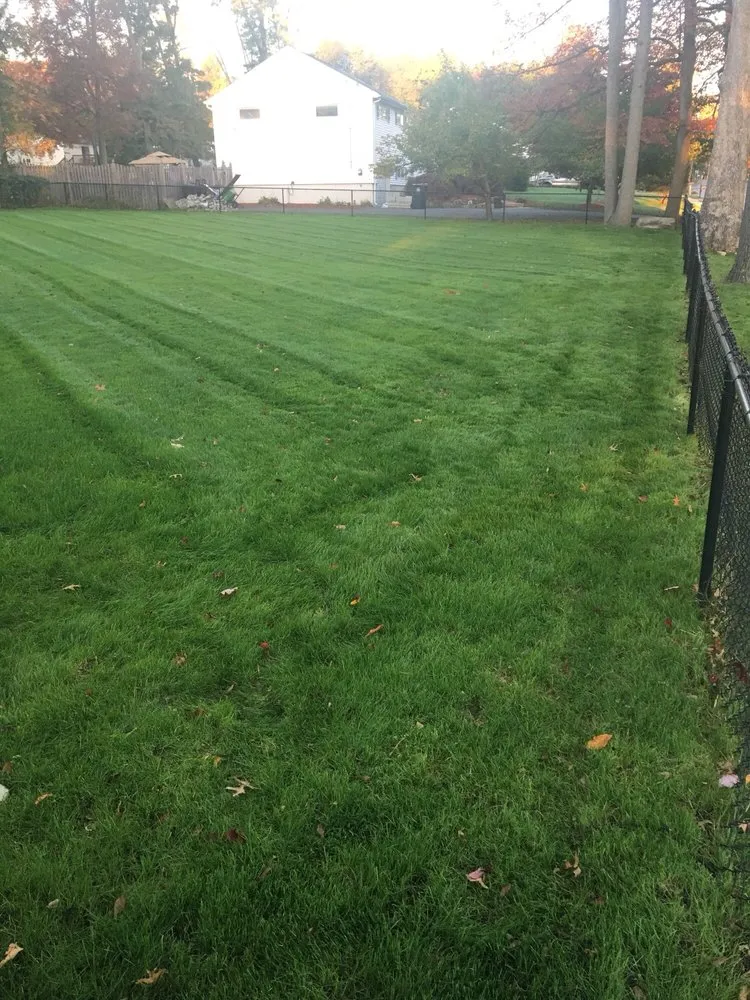 Reliable yard cleanup service for year-round maintenance across Whippany, NJ - JMC Landscape Contracting