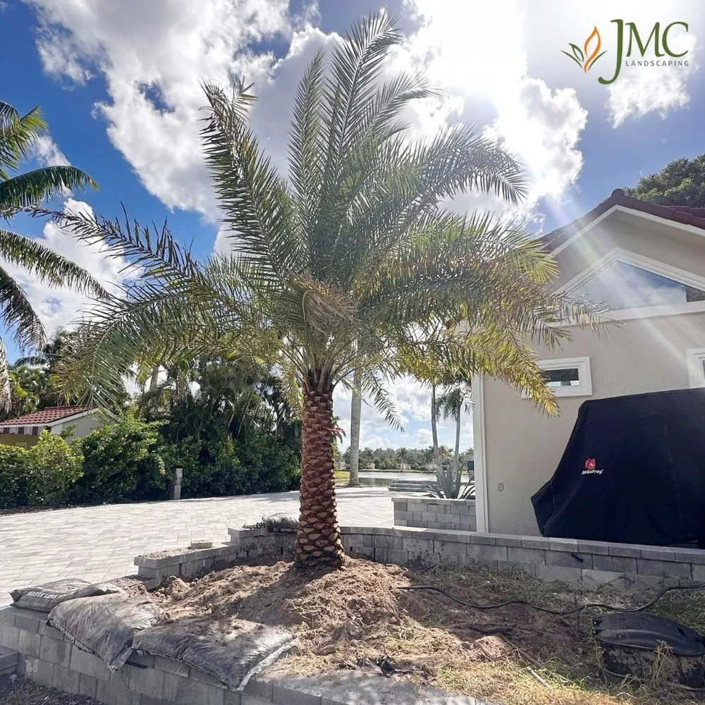 Affordable lawn mowing service experts serving Saint James City, FL - JMC Landscaping & Nursery