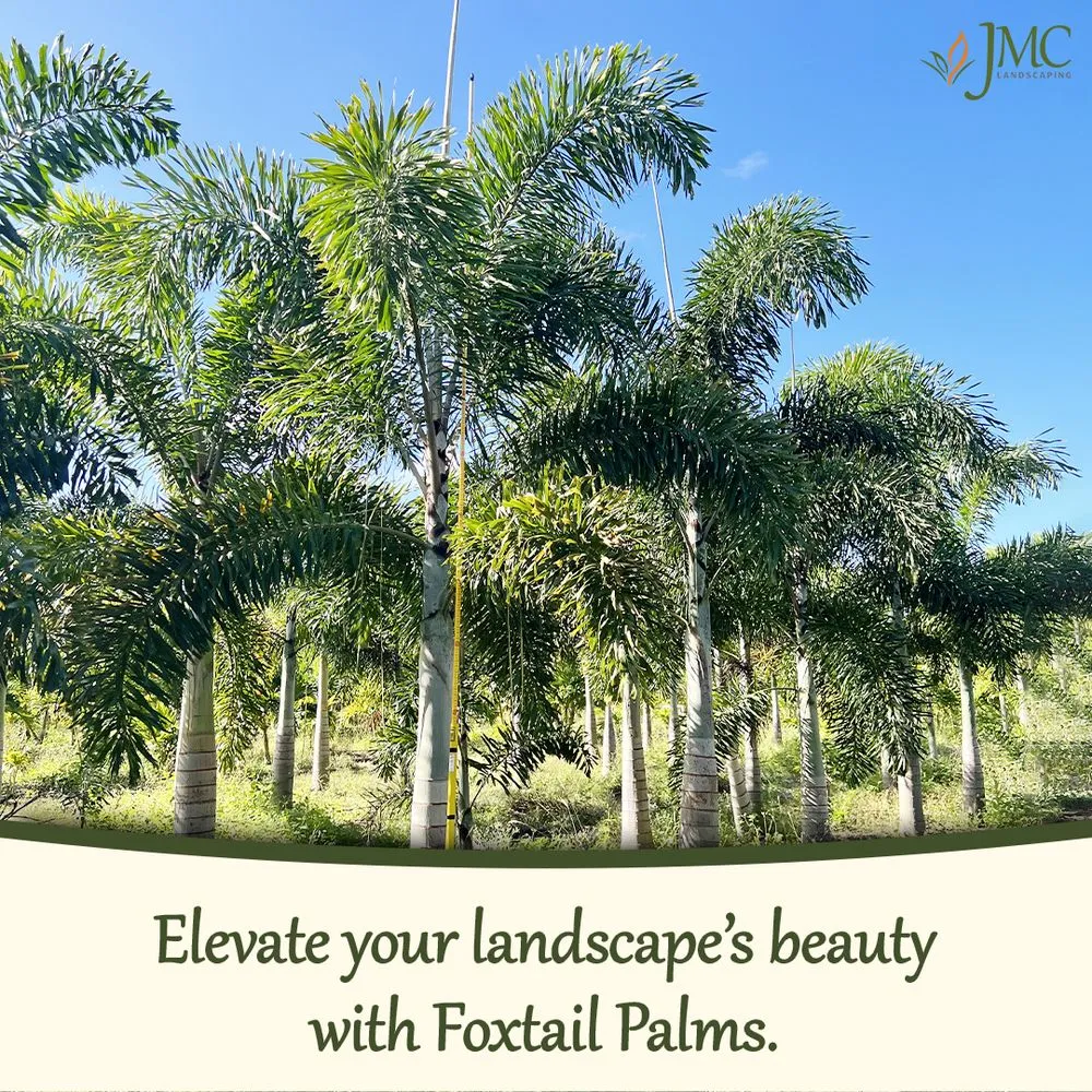 Local lawn mowing service for residential properties across Saint James City, FL - JMC Landscaping & Nursery