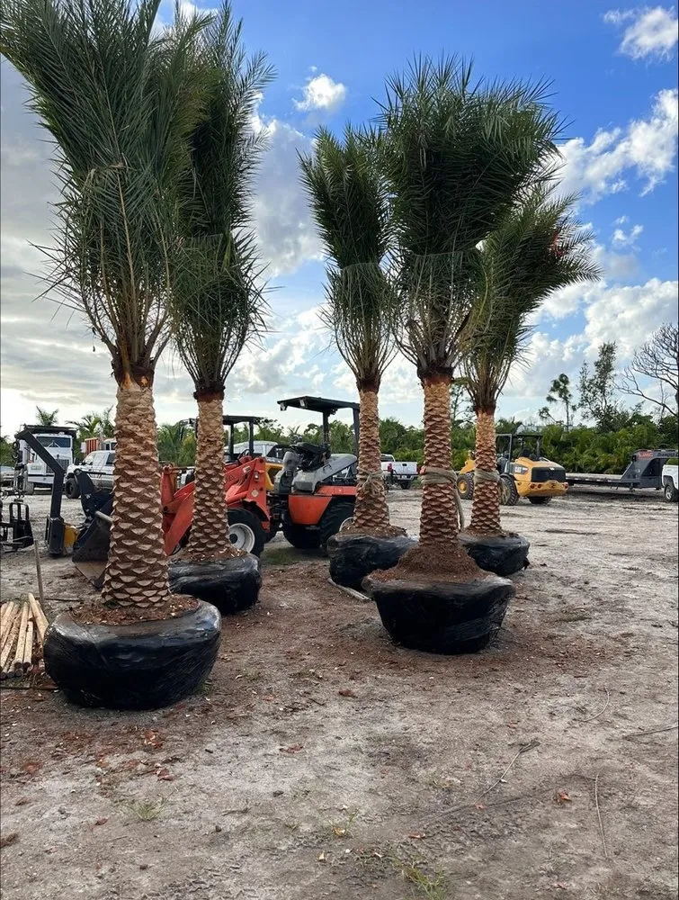 Trusted landscaping services for year-round maintenance across Saint James City, FL - JMC Landscaping & Nursery