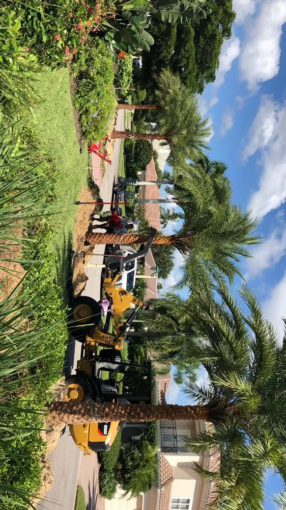 Expert lawn care service with custom design across Saint James City, FL - JMC Landscaping & Nursery