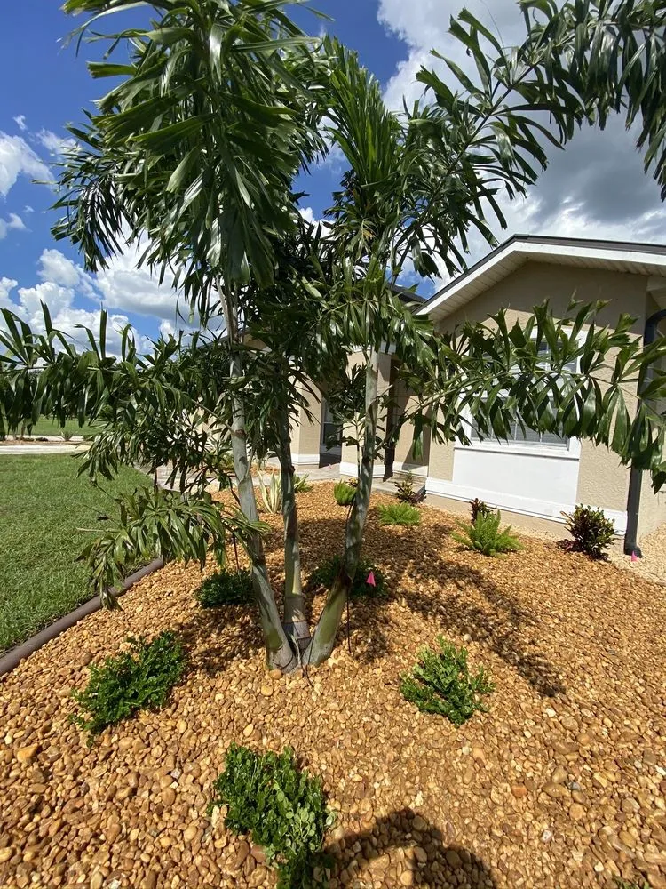 Professional garden landscaping for outdoor upgrades across Saint James City, FL - JMC Landscaping & Nursery