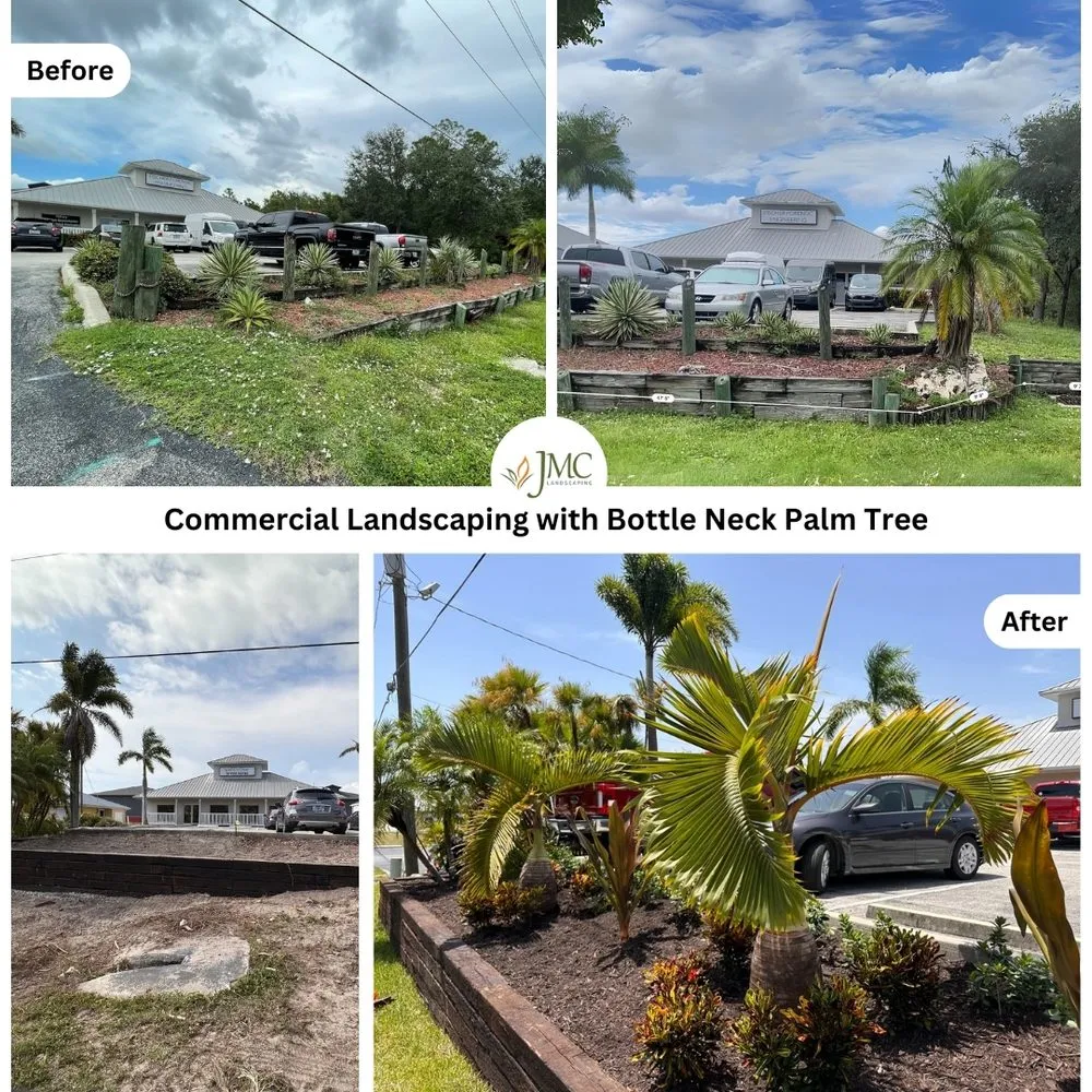 Custom outdoor landscaping for homes across Saint James City, FL - JMC Landscaping & Nursery