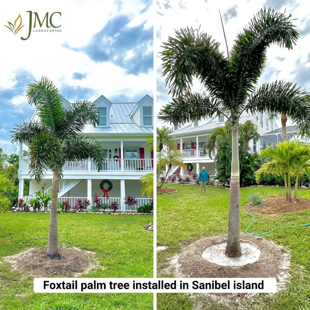 Trusted lawn care service for beautiful yards across Saint James City, FL - JMC Landscaping & Nursery