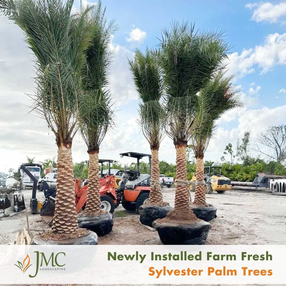 Local garden landscaping in Saint James City, FL by JMC Landscaping & Nursery