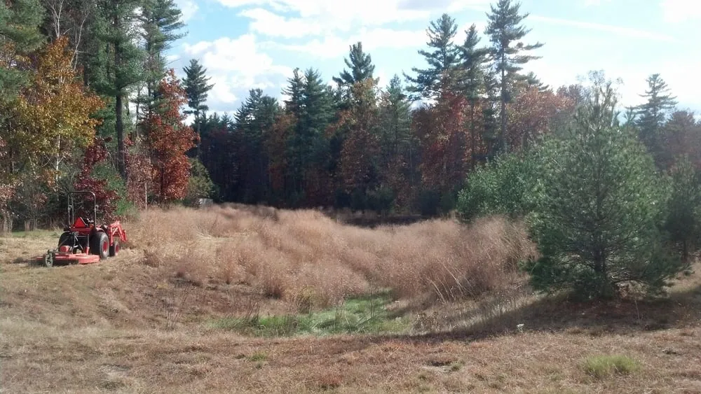 Trusted yard maintenance in Merrimack, NH by JMC Landscaping