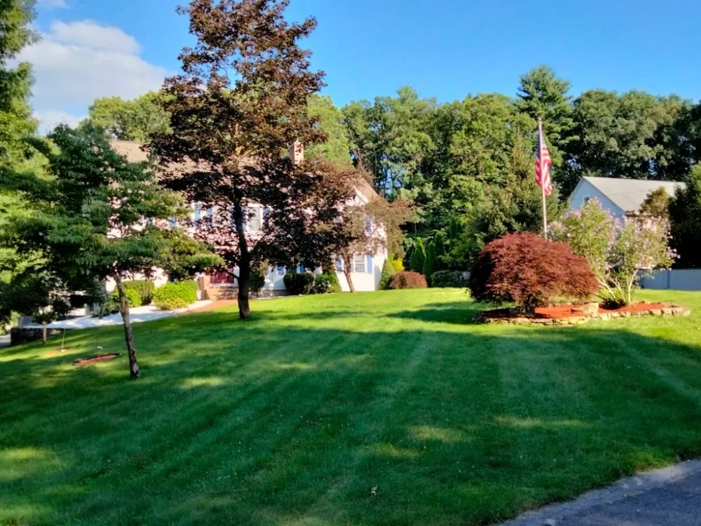 Top-rated yard maintenance in Waltham, MA by JMC Lanscaping