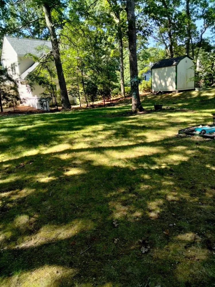 Custom residential landscaping experts serving Waltham, MA - JMC Lanscaping