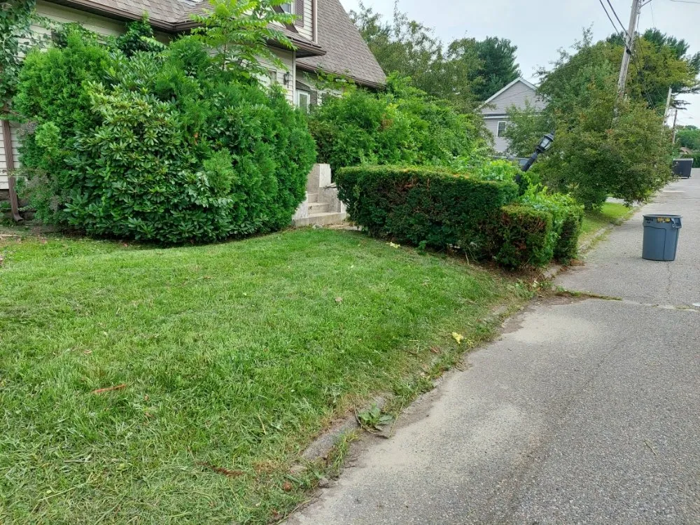 Professional yard maintenance for residential properties across Waltham, MA - JMC Lanscaping