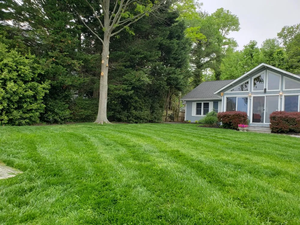 Trusted outdoor landscaping with custom design across Lusby, MD - JMC Lawn care
