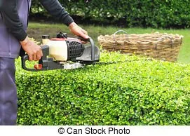 Custom residential landscaping in Athens, GA by JMC Lawn Maintenance