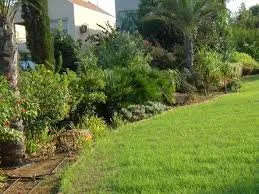 Local lawn mowing service for homes across Athens, GA - JMC Lawn Maintenance