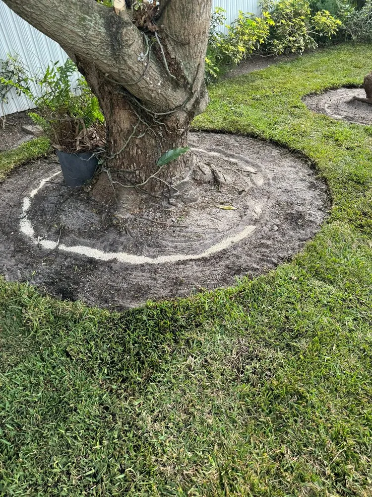 Top-rated yard maintenance for year-round maintenance across Panama City, FL - JMCR Landscaping Services