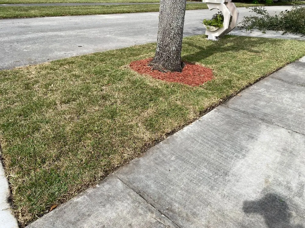 Affordable landscaping services in Panama City, FL - JMCR Landscaping Services
