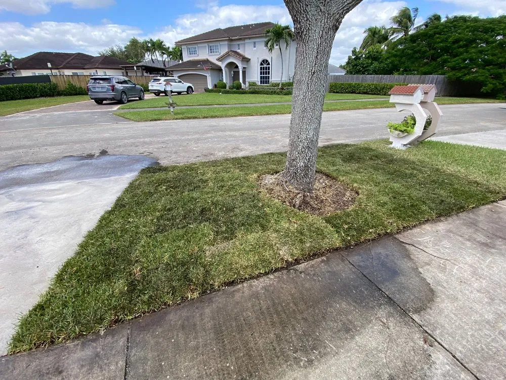 Trusted outdoor landscaping near you across Panama City, FL - JMCR Landscaping Services