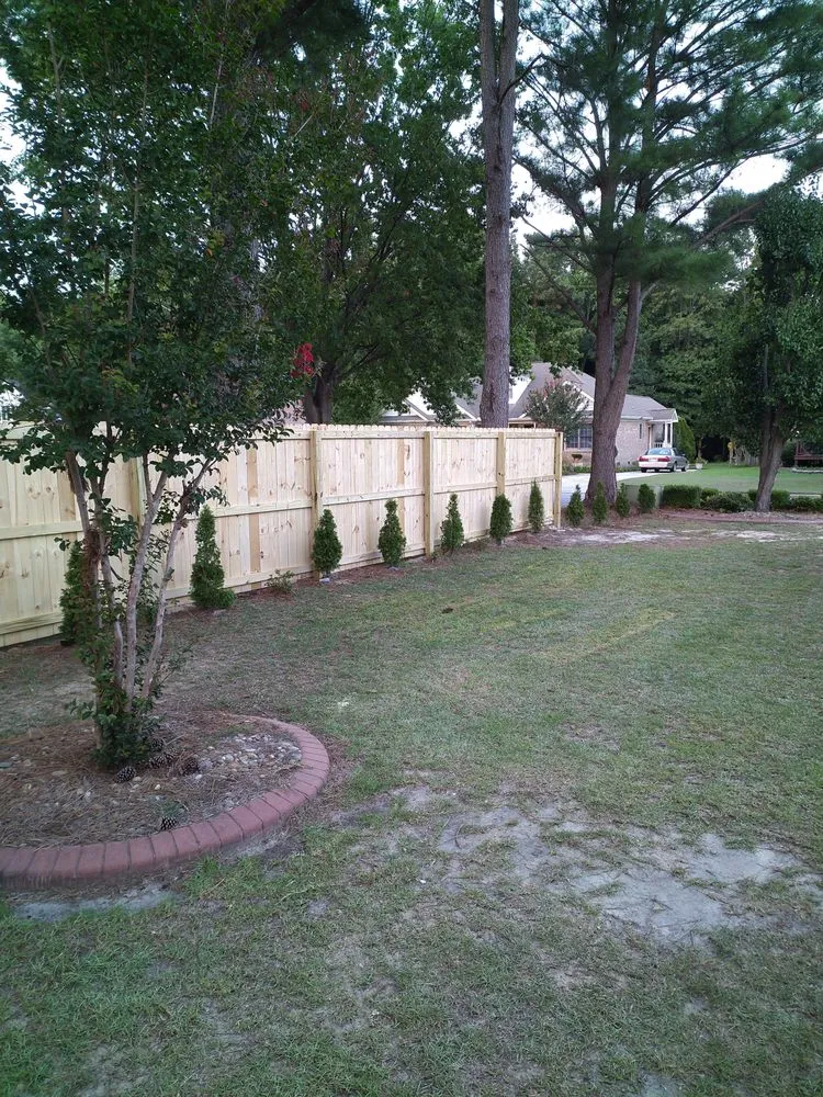 Top-rated yard cleanup service experts serving Oriental, NC - Jmcw Enterprises