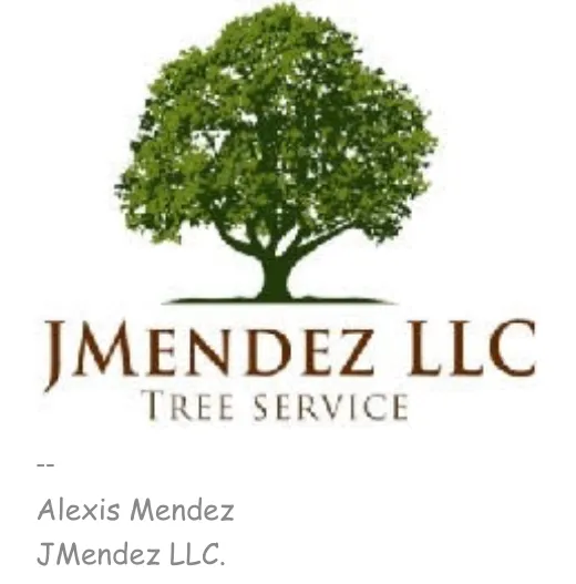 Local yard cleanup service for residential properties in Saint Louis, MO by JMendez