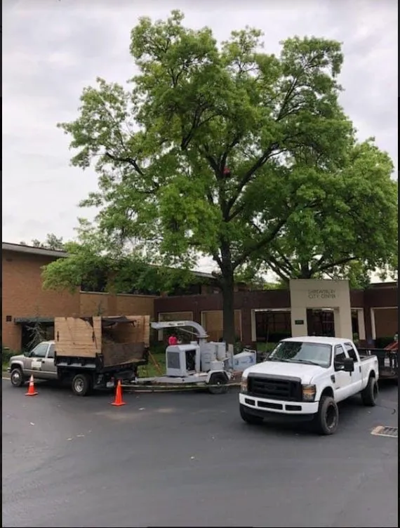 Professional yard cleanup service for homes across Saint Louis, MO - JMendez