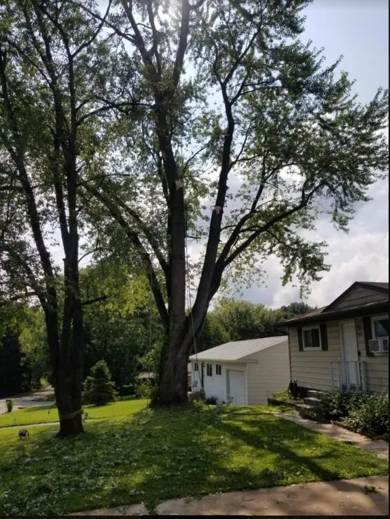 Affordable landscape installation for beautiful yards across Saint Louis, MO - JMendez