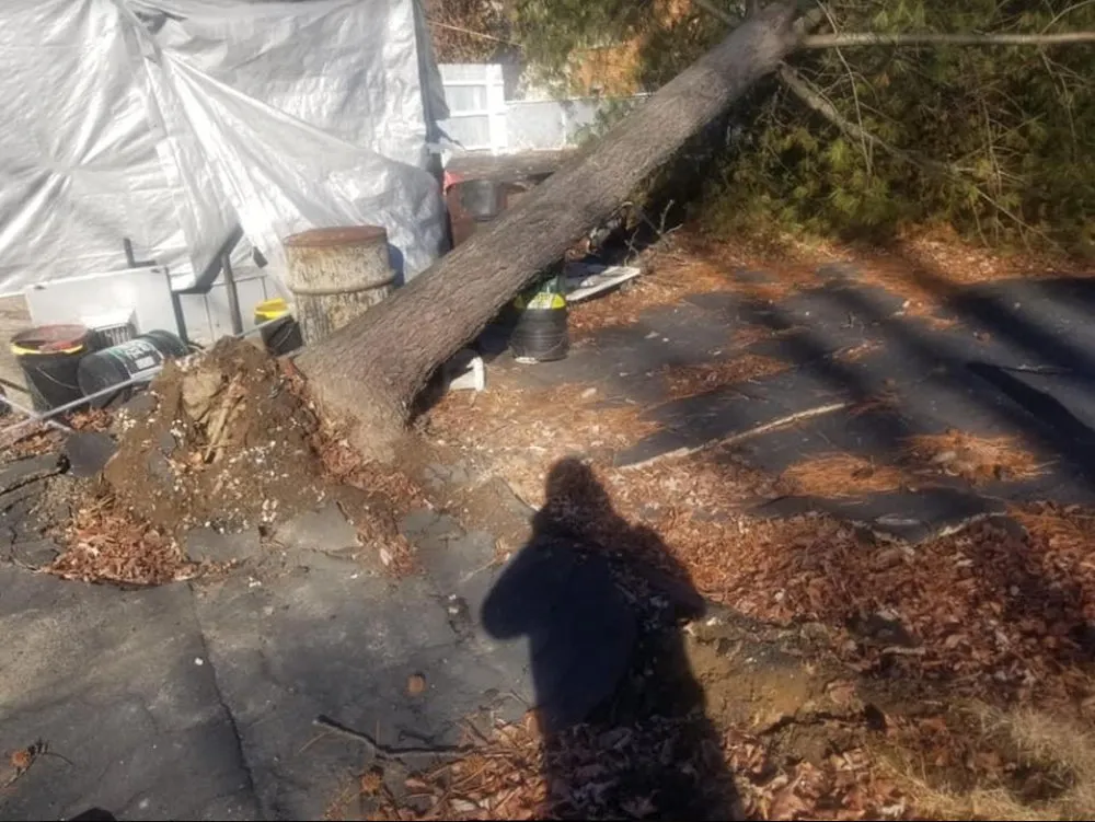 Professional outdoor landscaping in Saint Louis, MO by JMendez