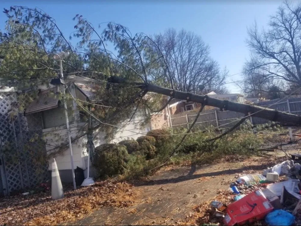 Affordable landscape installation experts serving Saint Louis, MO - JMendez