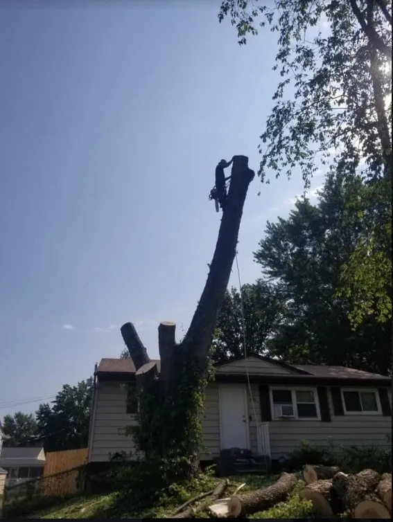 Reliable landscape design experts serving Saint Louis, MO - JMendez