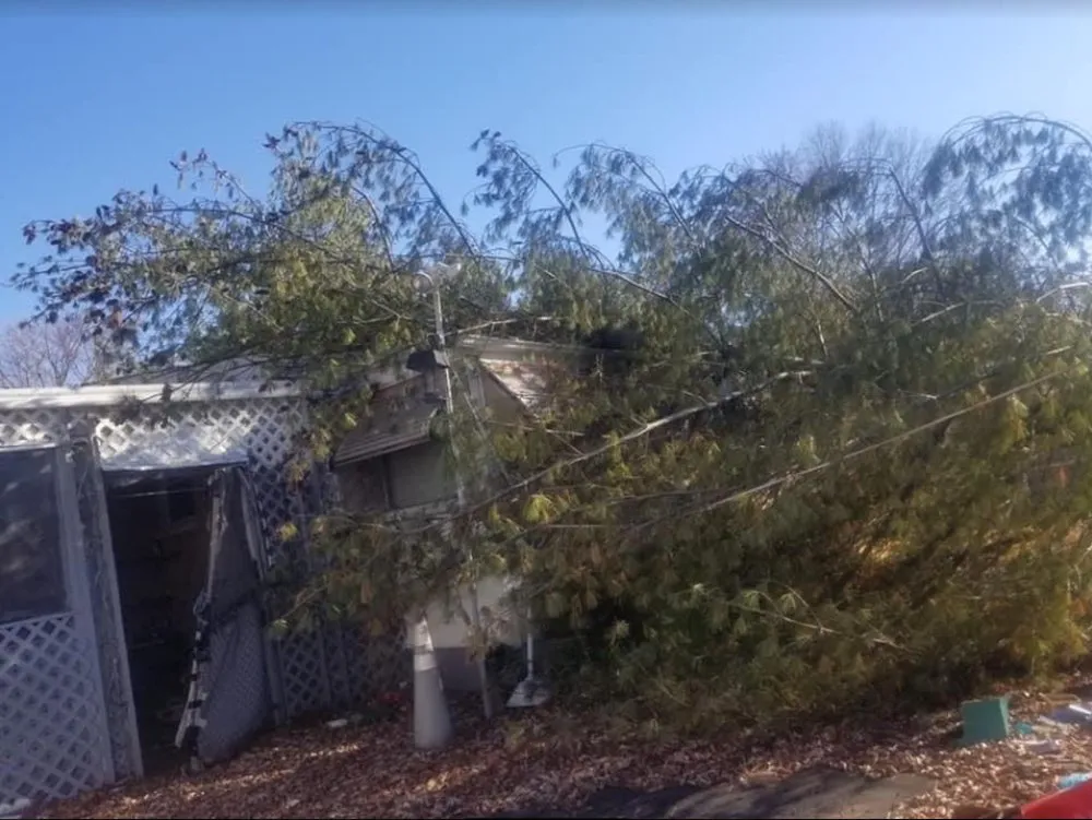 Local outdoor landscaping for residential properties across Saint Louis, MO - JMendez