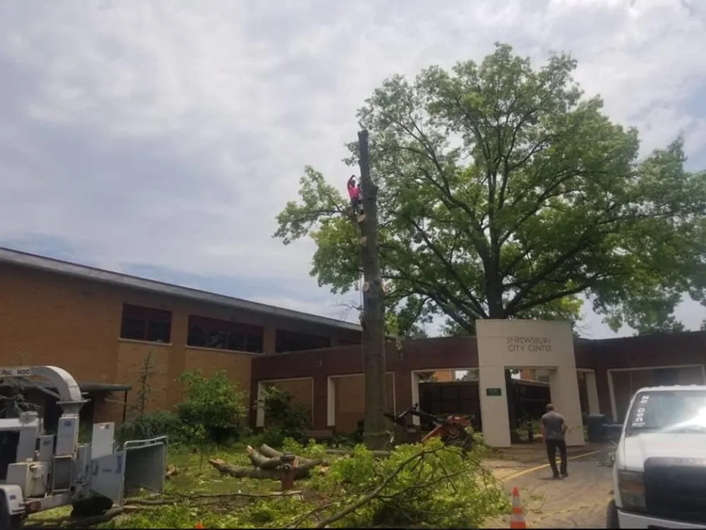 Custom landscaping services for residential properties in Saint Louis, MO by JMendez