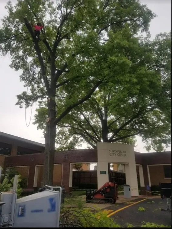 Custom landscape installation in Saint Louis, MO by JMendez