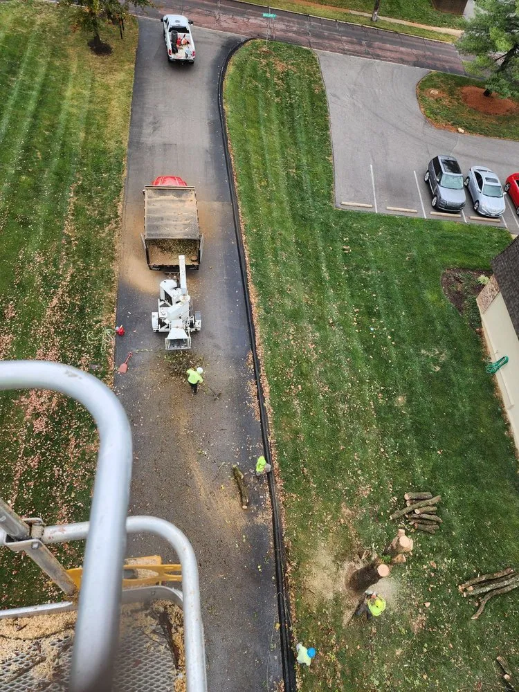 Reliable landscaping services in Saint Louis, MO - JMendez