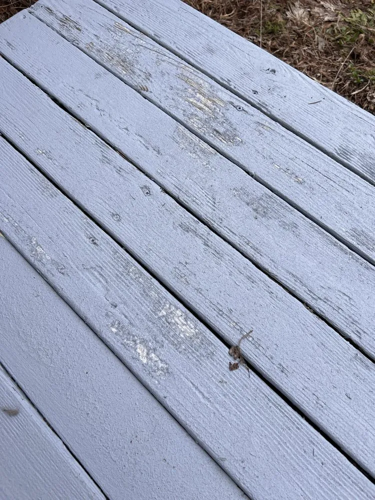 Professional landscaping services near you in Auburn, WA by JMG Construction Services