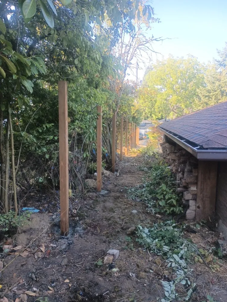 Reliable yard cleanup service in Auburn, WA - JMG Construction Services