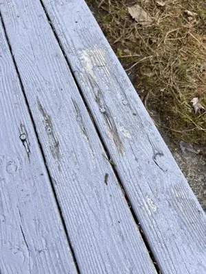 JMG Construction Services Logo