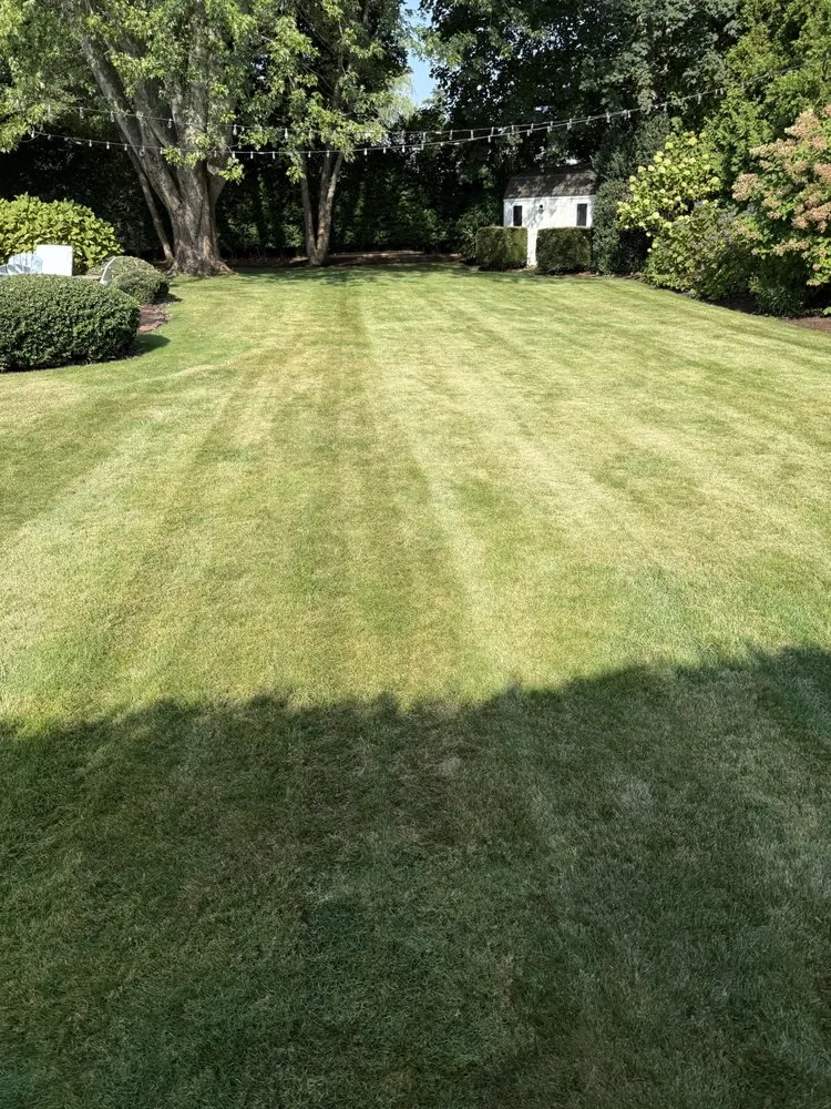 Professional landscaping services with custom design across East Falmouth, MA - JMG
