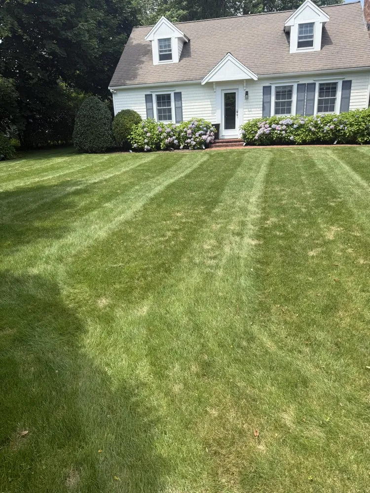 Trusted yard cleanup service in East Falmouth, MA by JMG
