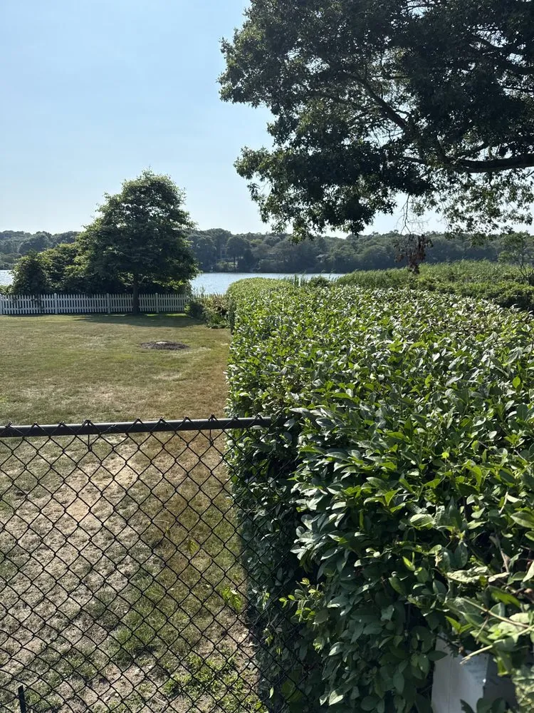 Affordable yard cleanup service experts serving East Falmouth, MA - JMG