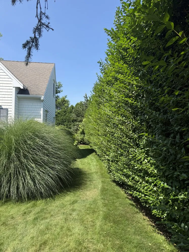 Professional outdoor landscaping with custom design in East Falmouth, MA by JMG