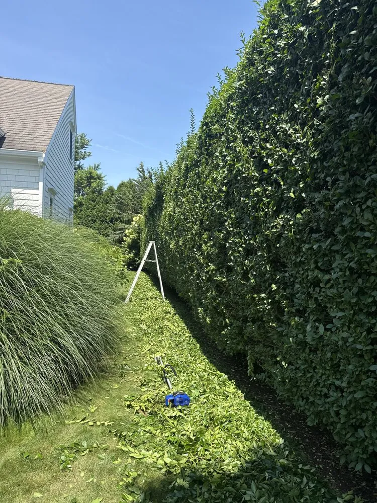 Reliable landscape installation with custom design in East Falmouth, MA by JMG